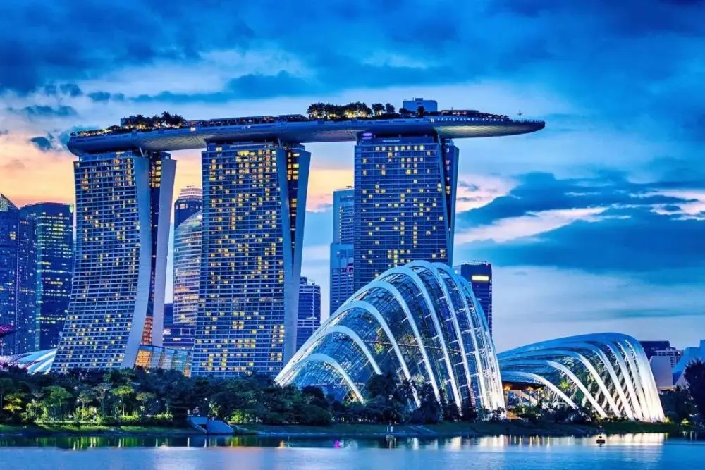 新加坡签证类型有哪些