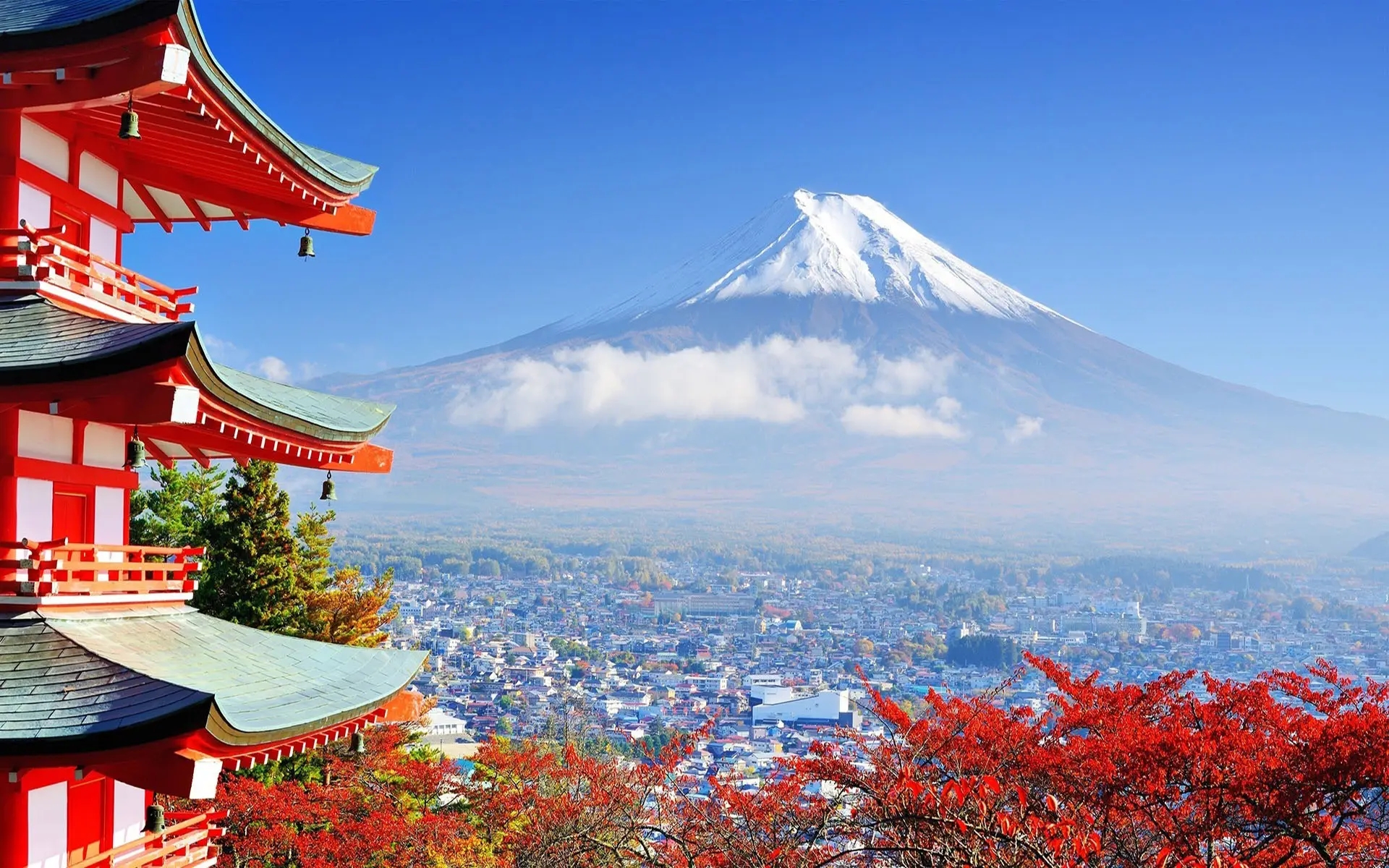 日本留学申请条件及材料有什么