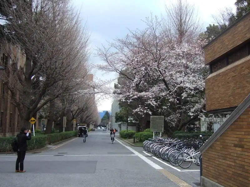 日本京都大学留学申请条件有哪些