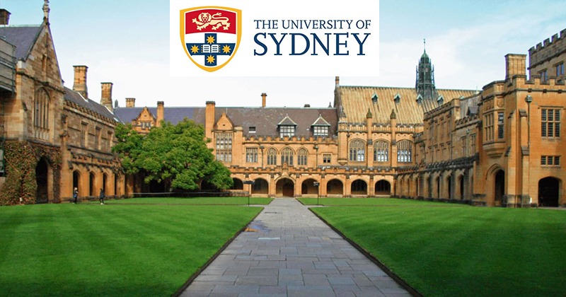 选择悉尼大学的理由是什么？