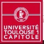 图卢兹第一大学